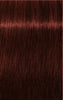 Igora Royal Absolutes 60ml