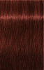 Igora Royal Absolutes 60ml