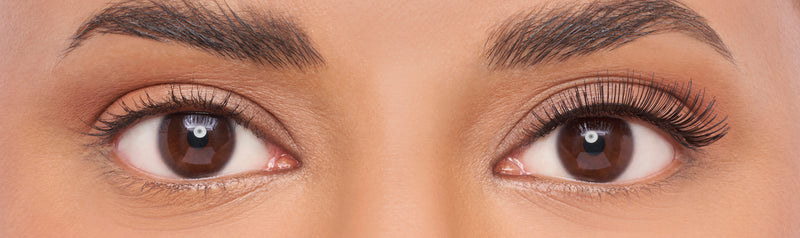 Strip Lash Volume 101