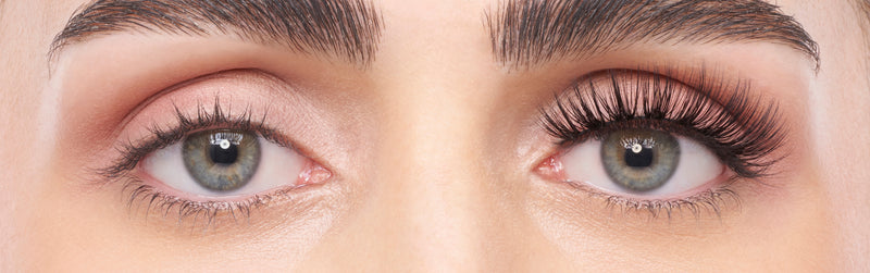 Strip  Lashes 109 Volume