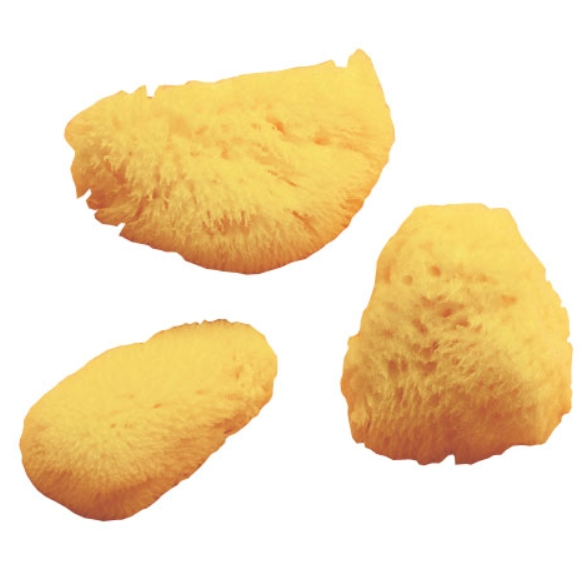 Natural Sponges 3 Pack