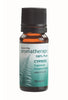 Pure Aromatherapy Oil 10ml